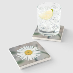 Single Daisy Stone Coaster
