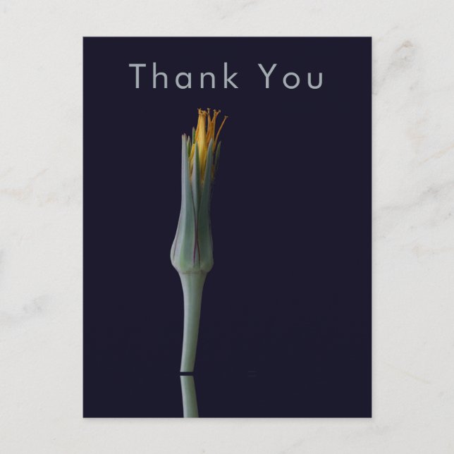 Single Flower Elegant Personalised Thank You Postcard (Front)