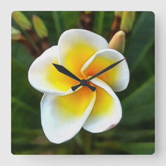 Single Frangipani Blossom Realism Art Square Wall Clock