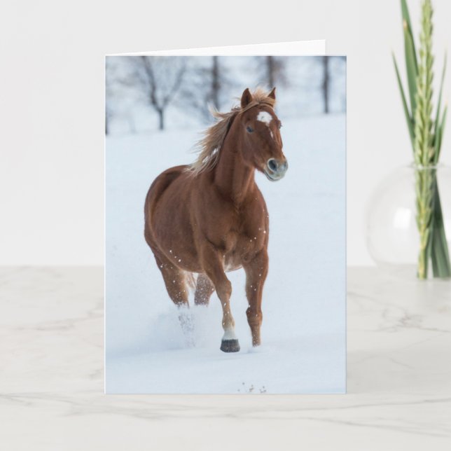 Single Horse Running in Snow Card (Front)