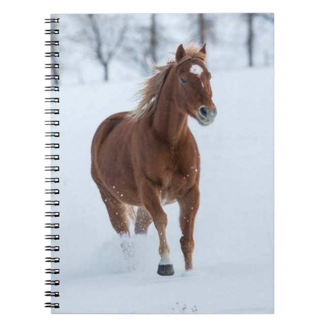 Single Horse Running in Snow Notebook (Front)