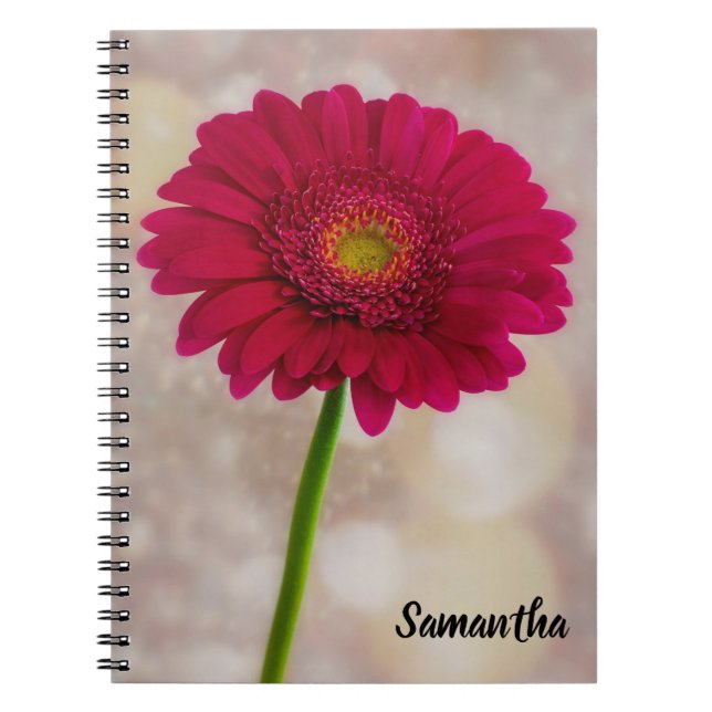 Single Hot Pink Gerbera Spiral notebook (Front)