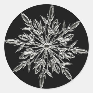 Single Ice Crystal on Black Classic Round Sticker