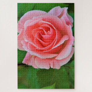 Single Large Pink Rose Up Close Jigsaw Puzzle
