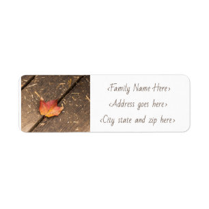 single maple leaf minimalist photo return address