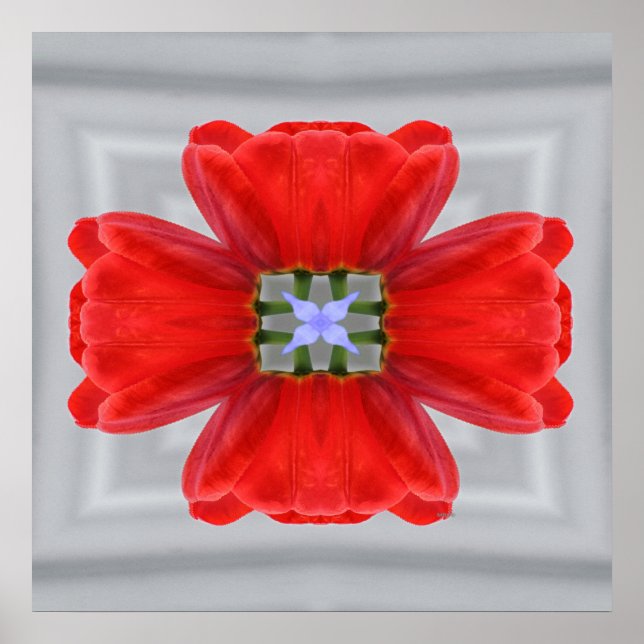 Single moments.... poster (Front)