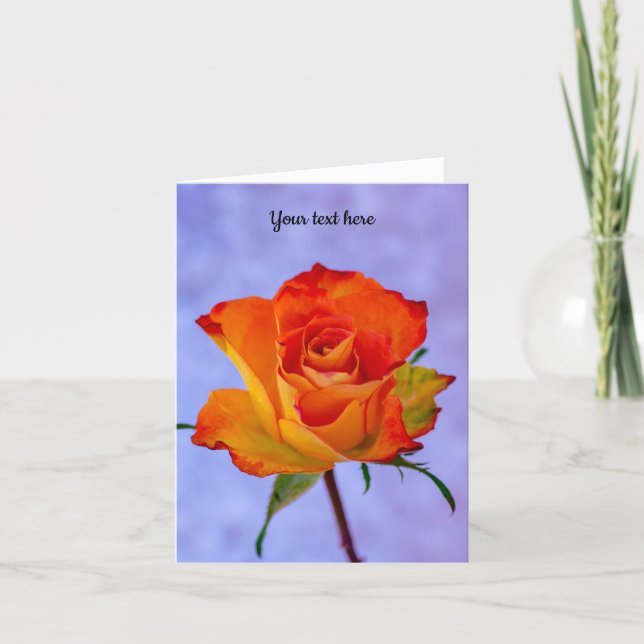 Single Orange and Yellow Rose Greeting Card (Front)
