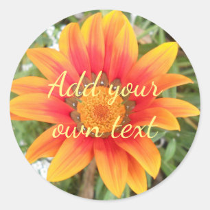 Single Orange Flower Custom Text Classic Round Sticker