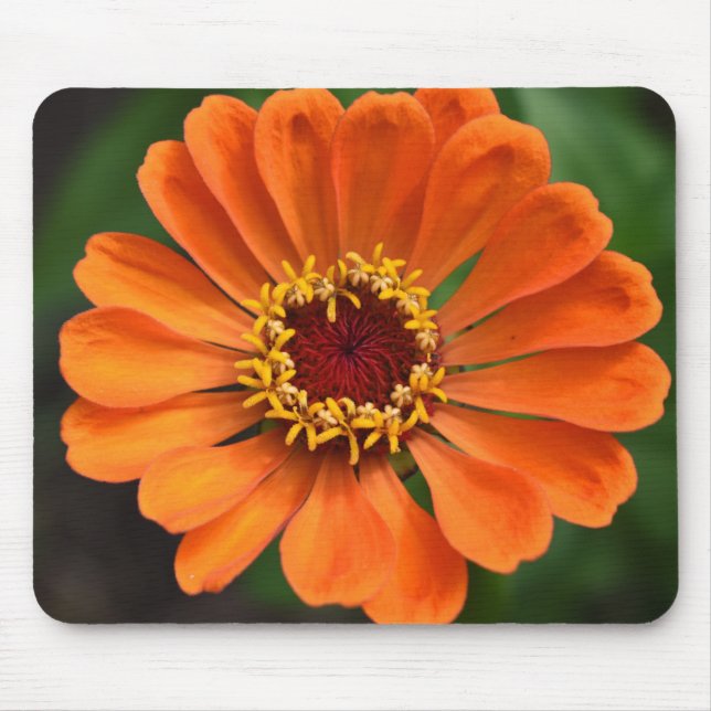 Single Orange Flower Mouse Mat (Front)