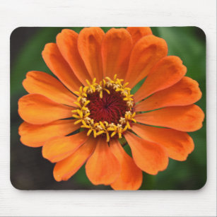 Single Orange Flower Mouse Mat