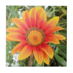 Single Orange Flower Tile