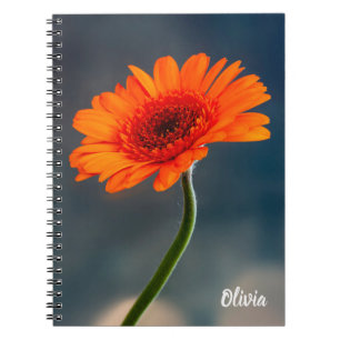 Single Orange Gerbera Spiral notebook