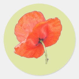 Single Orange Red Poppy with Green Steam Classic Round Sticker