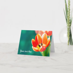Single Orange Tulip Greeting Card