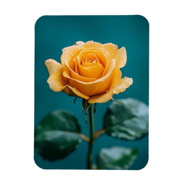 Single Peach Rose Magnet (Vertical)