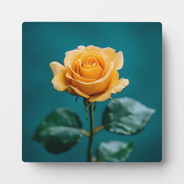 Single Peach Rose Plaque (Front)