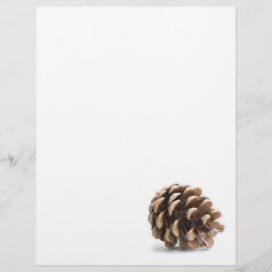 Single pinecone