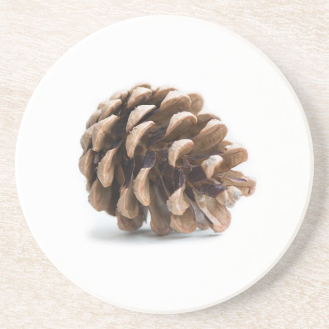 Single pinecone coaster (Front)