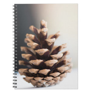Single pinecone notebook