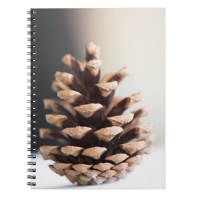 Single pinecone notebook (Front)