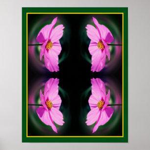 Single Pink Cosmos Flower Abstract   Poster