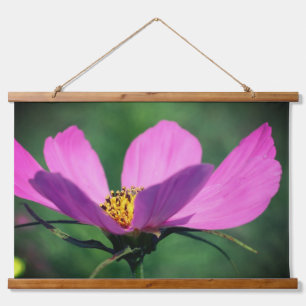 Single Pink Cosmos Flower In Bloom Hanging Tapestry