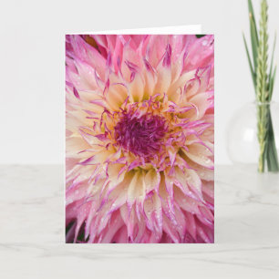 Single pink dahlia floral print greeting card