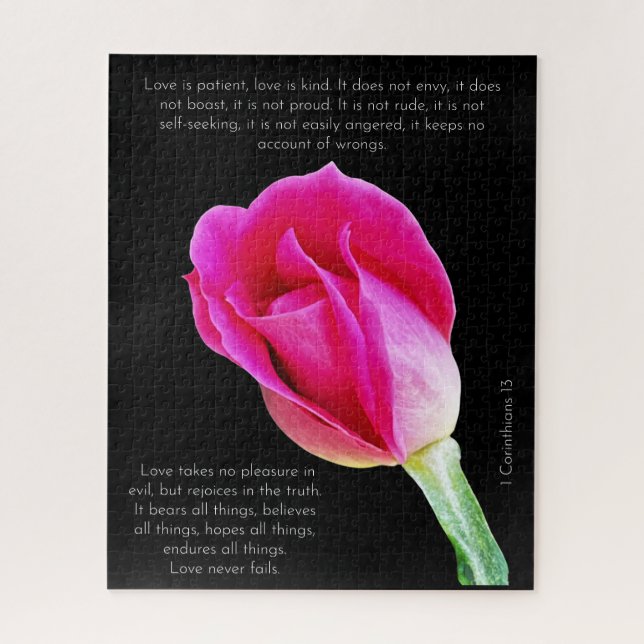 Single pink rose bloom on black, Corinthians Verse Jigsaw Puzzle (Vertical)