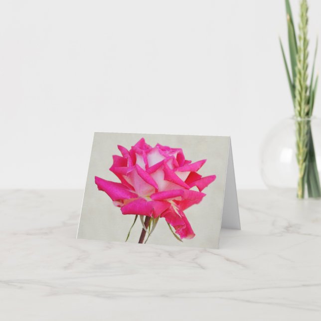 Single Pink Rose from Gertie's Garden Note Card (Front)