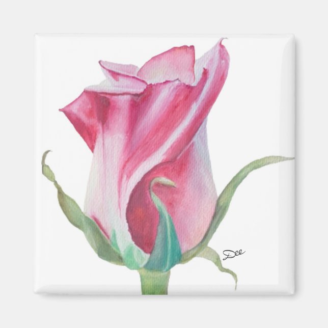Single Pink Rose Magnet  (Front)