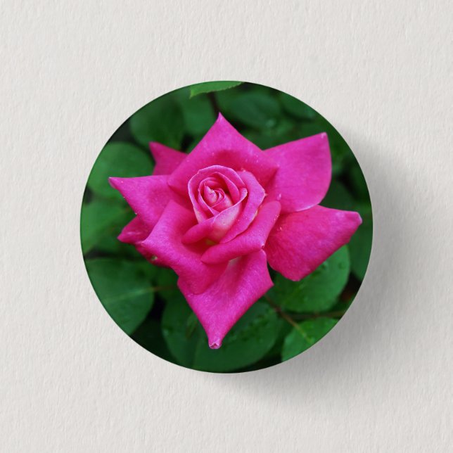 Single Pink Rose Round Button (Front)