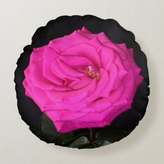 Single pink rose Round Throw Pillow