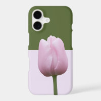 Single Pink Tulip Complementary Colors