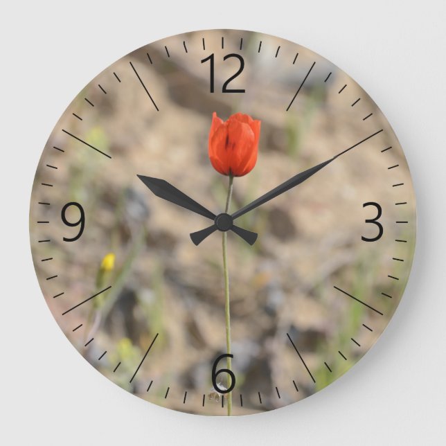 Single poppy flower large clock (Front)