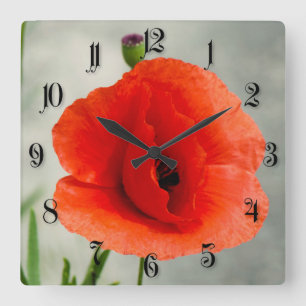 Single poppy flower photo square wall clock