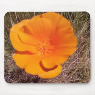 Single Poppy Mouse Mat