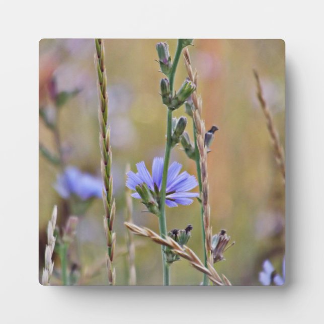 Single Purple Flower ~ 5.25 x 5.25 with Easel Plaque (Front)