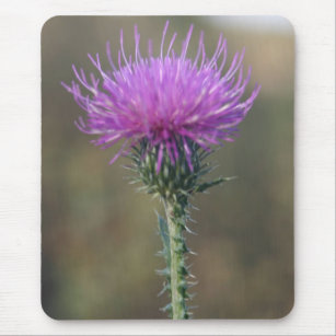 Single Purple flower on a Thorn Mouse Mat