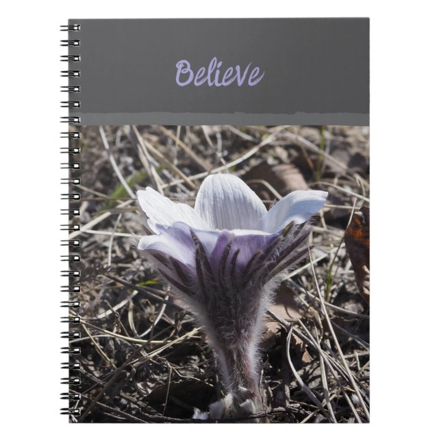 Single Purple Prairie Crocus Spiral Photo Notebook (Front)