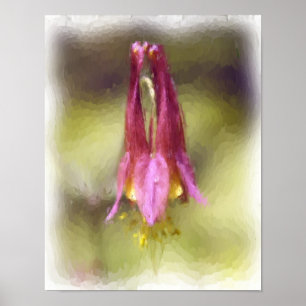 Single Red Columbine Flower Art Poster
