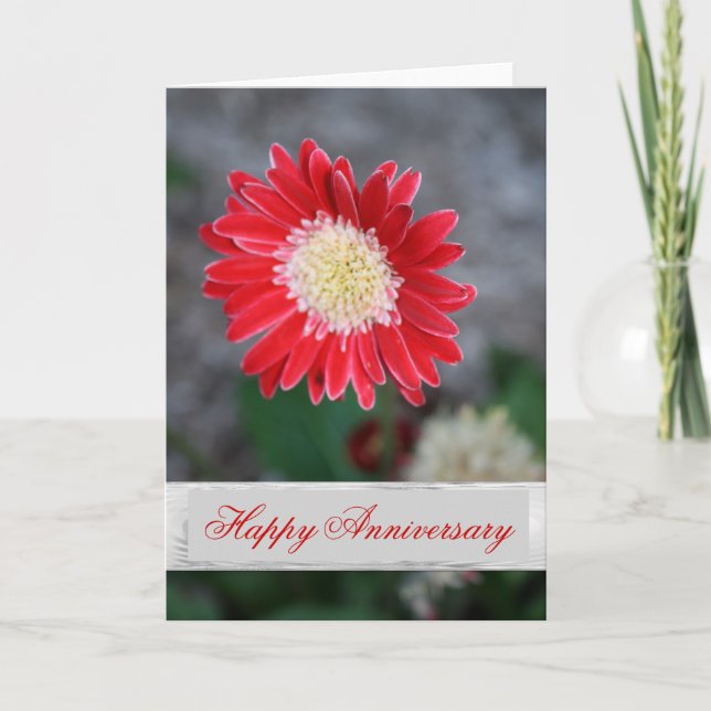 Single red flower Wedding Anniversary Greeting Card (Front)