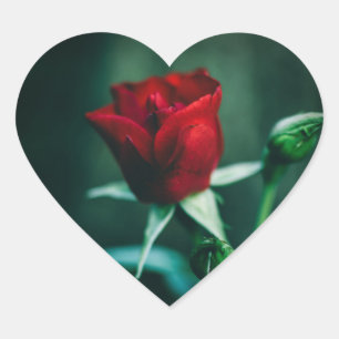 single red heart sticker