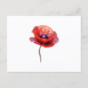 Single Red Poppy Flower Postcard