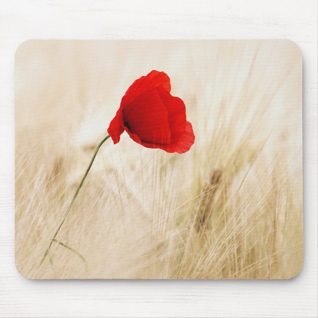 Single Red Poppy in a Grassy Field Mouse Mat (Front)