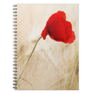 Single Red Poppy in a Grassy Field Notebook