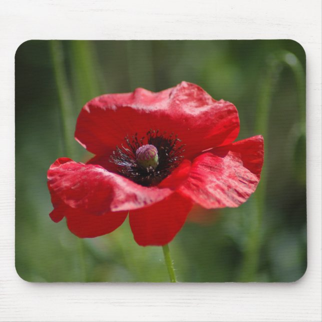Single red poppy mouse mat (Front)