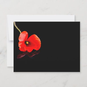 Single red poppy on black postcard
