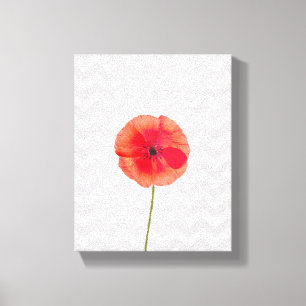 Single red poppy on grey and white chevron pattern canvas print