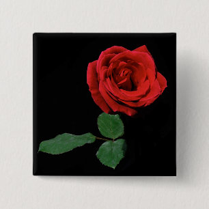 Single Red Rose 15 Cm Square Badge