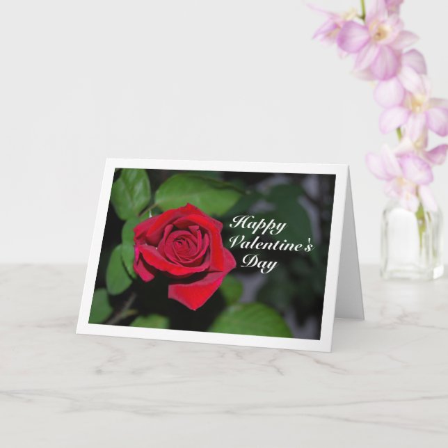 Single Red Rose and Green Leaves Card (Orchid)